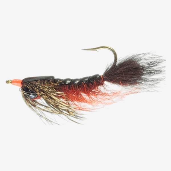 Barry's Carp Fly fly pattern - Carp attractor image