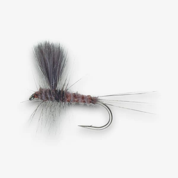 Beck's Dun fly pattern - Hendrickson dry image