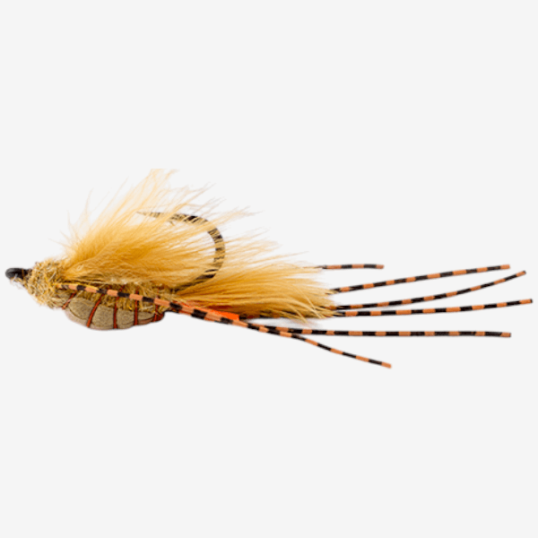 Bellycrawl fly pattern - Carp crustacean image
