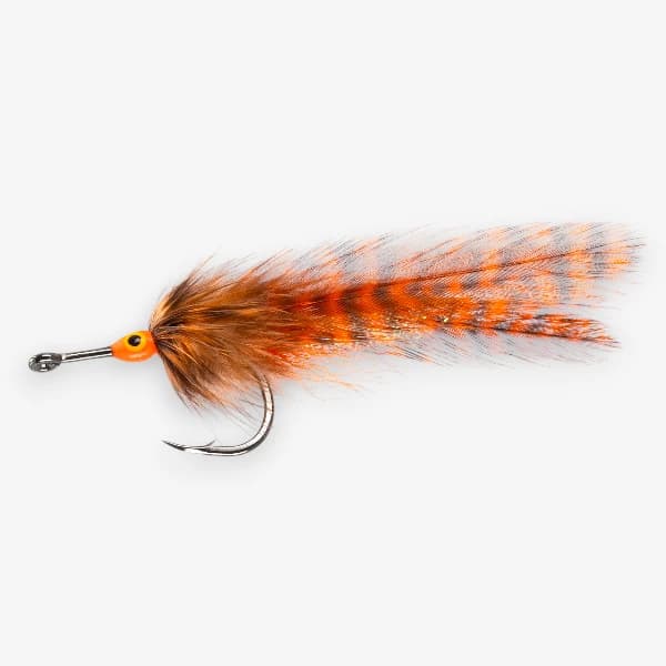 Big Eye Tarpon image