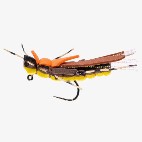 Big Sky Hopper image