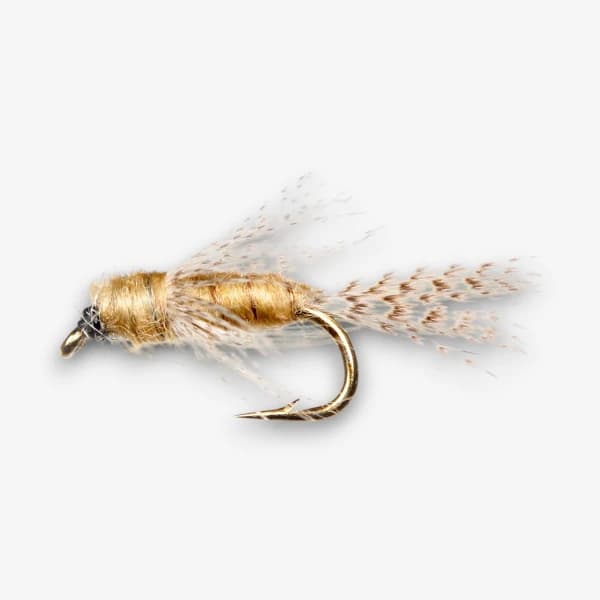 Birds Nest fly pattern - Light Cahill nymph image