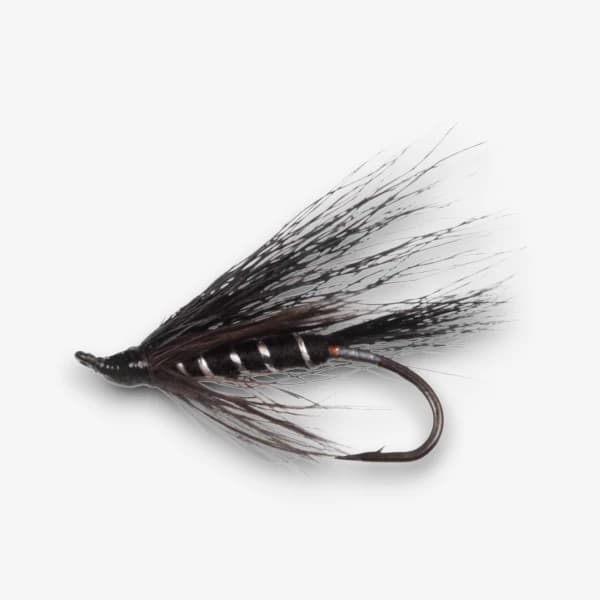 The Black Bear fly pattern - Wet Flies attractor image