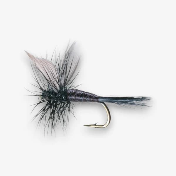 The Black Gnat fly pattern - Attractor Patterns dry image