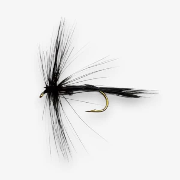 Black Mosquito image