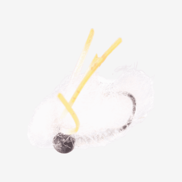 Bone Crusher Crab image