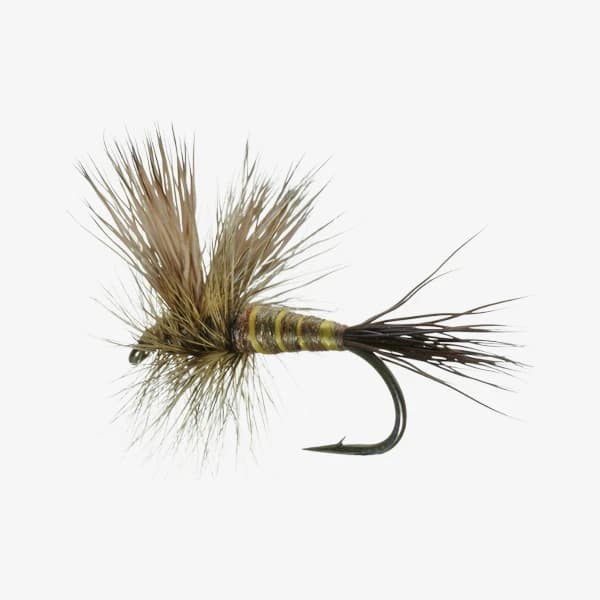 Lawson's Brown Drake Dun fly pattern - Brown Drake dry image