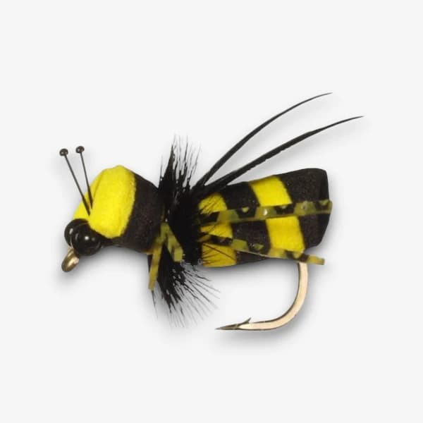 Bumble Bee image