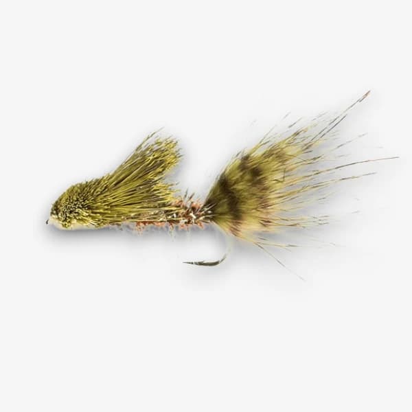 Cactus Wooly Sculpin fly pattern - Sculpin streamer image