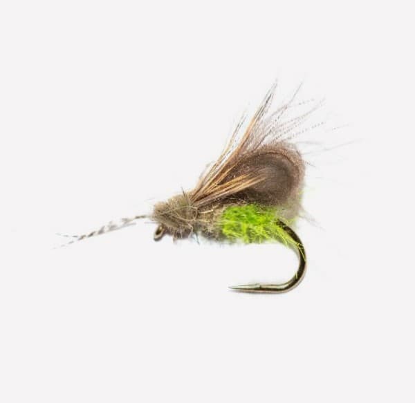 Bubble Back Caddis image