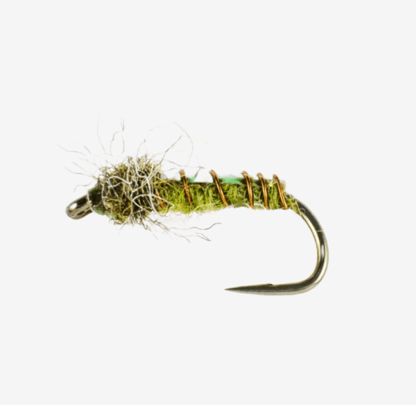 Electric Caddis image