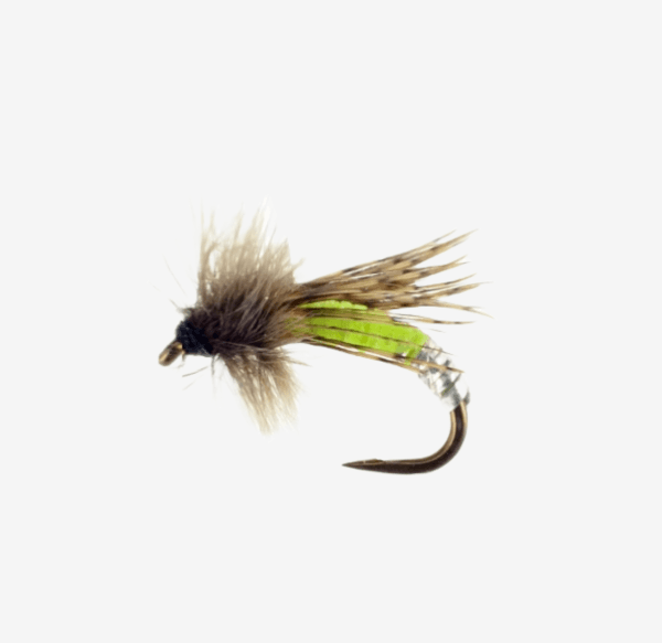 Graphic Caddis