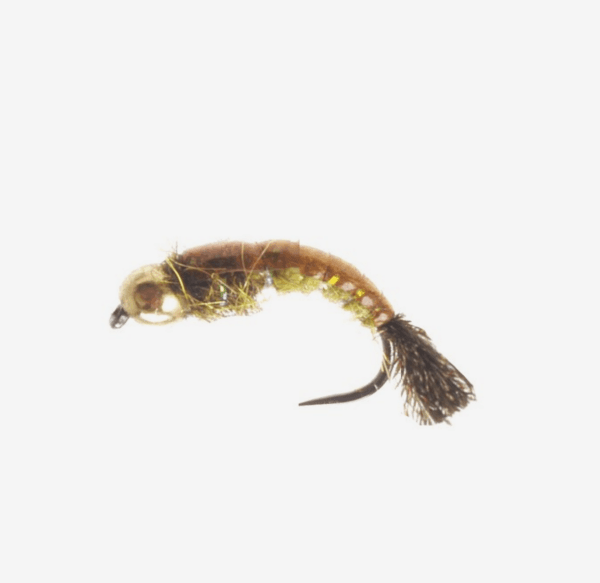 GTI Caddis Nymph fly pattern - Caddis nymph image