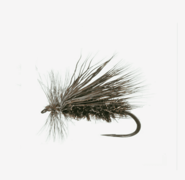 Peacock Caddis image