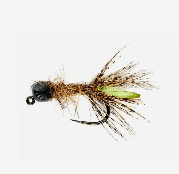 Peeping Caddis fly pattern - Caddis nymph image