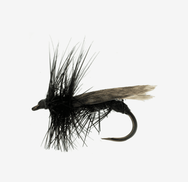 Tent Wing Caddis image