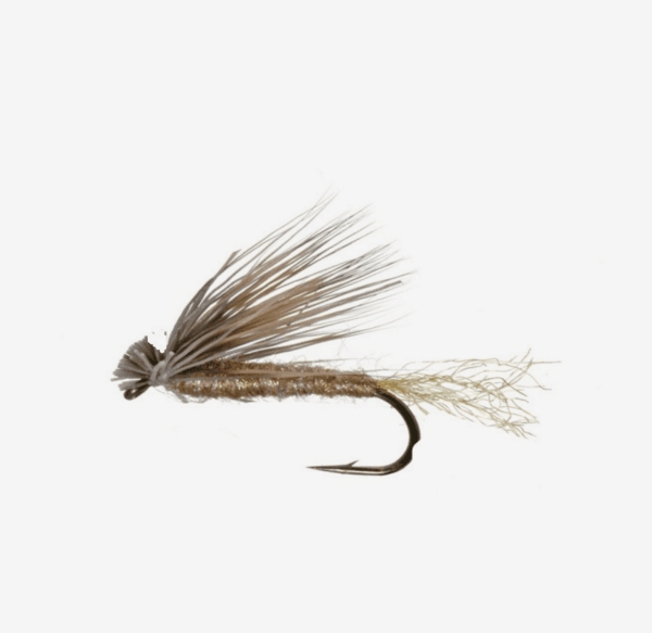 X Caddis image