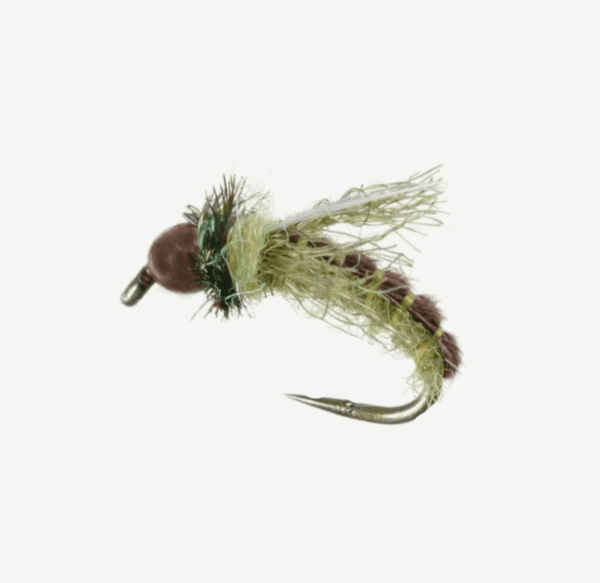 Z Wing Caddis
