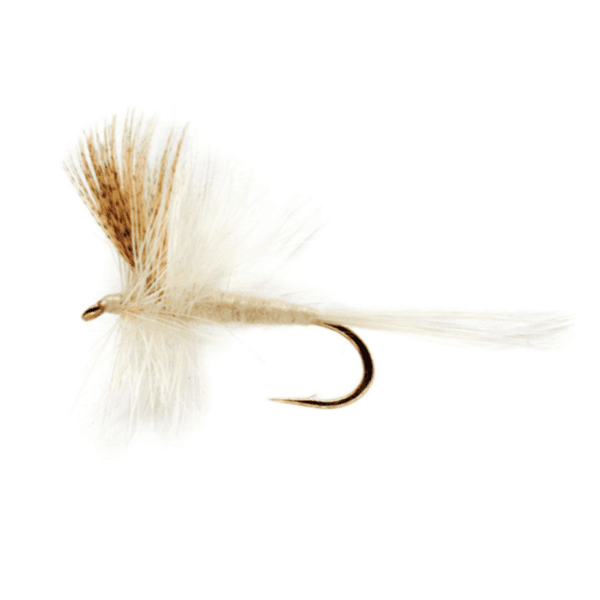 Light Cahill Dun fly pattern - Light Cahill dry image