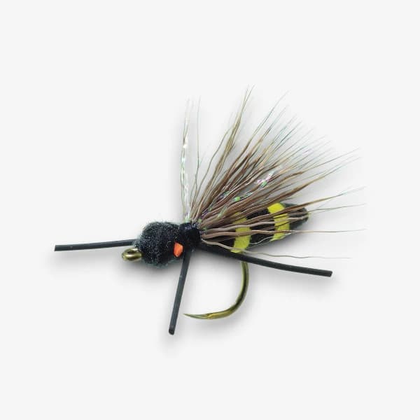 Caleb's Bee image