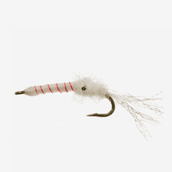 Candy Cane Mysis image