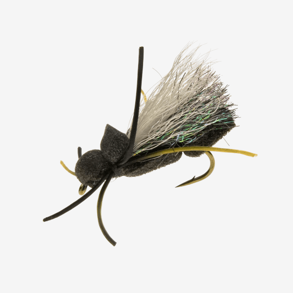 Carl's Cicada image