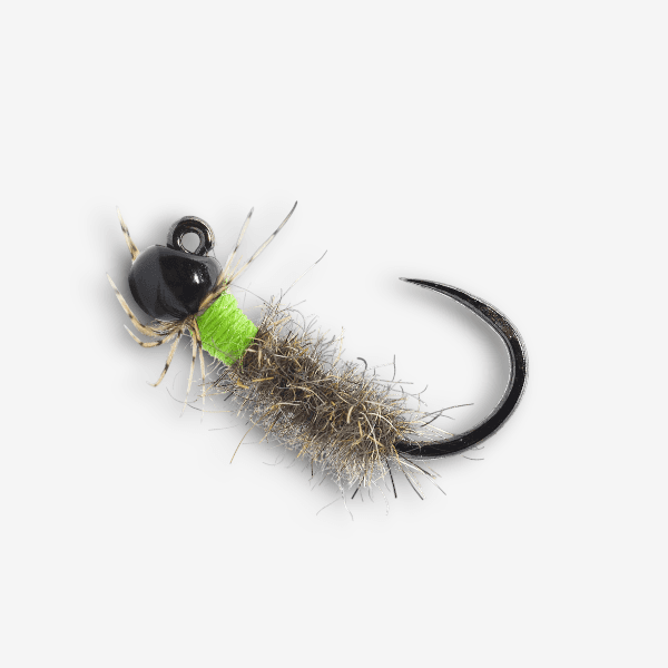 Cased Caddis