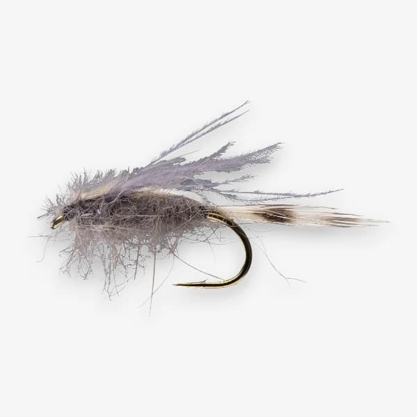 CDC Transitional Midge