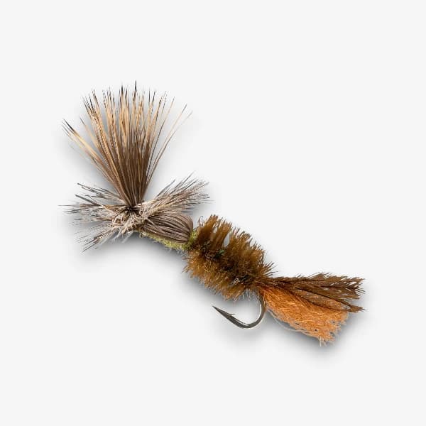 Challenged Drake fly pattern - Green Drake emerger image
