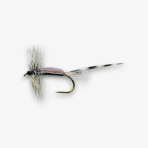 Chan's Lady McConnell fly pattern - Midge dry image