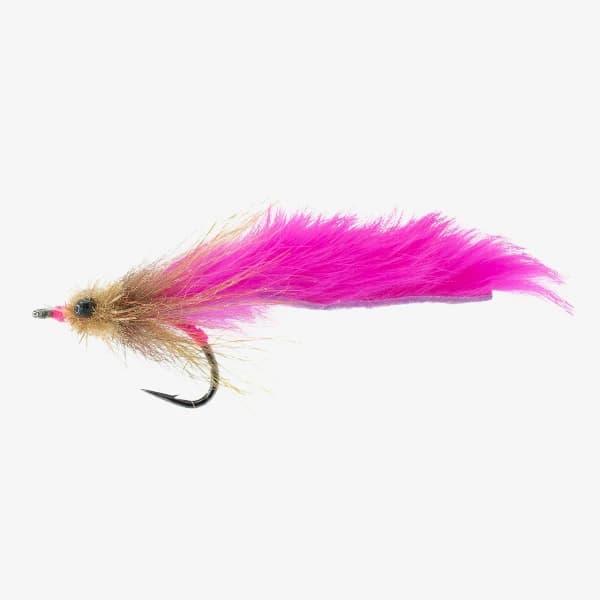 The Tarponator image