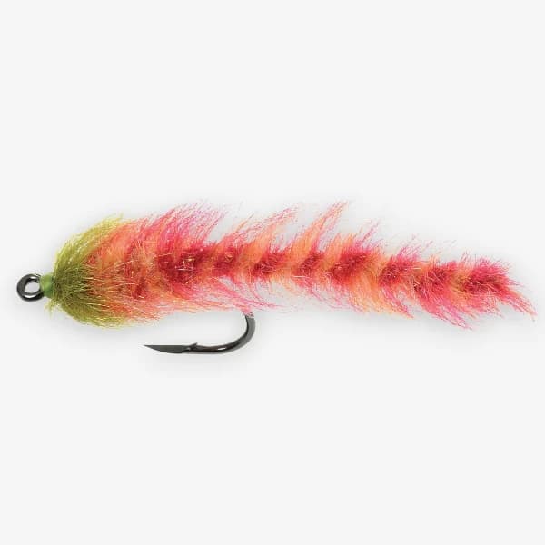 Chili Pepper Worm image