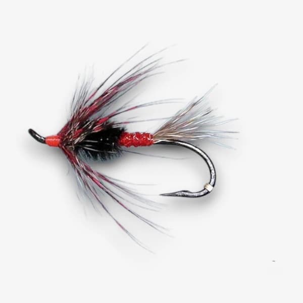 The Claret Guinea fly pattern - Wet Flies attractor image