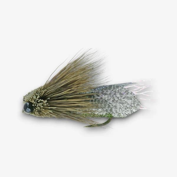 Clark's Cicada fly pattern - Cicada dry image