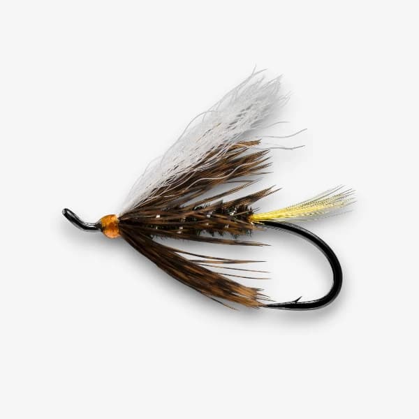 The Steelhead Coachman