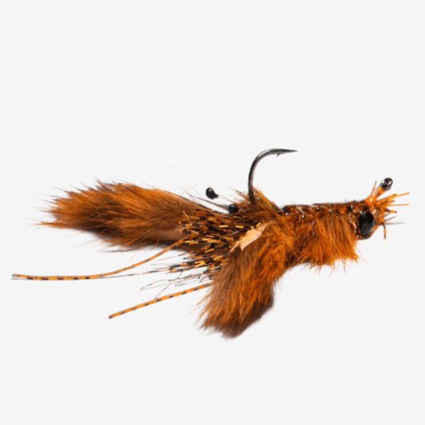 Fleeing Crayfish  image