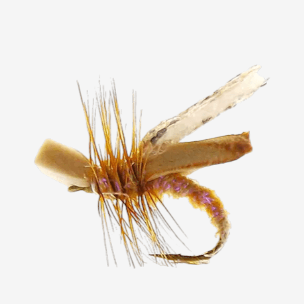 Crowd Surfer Caddis