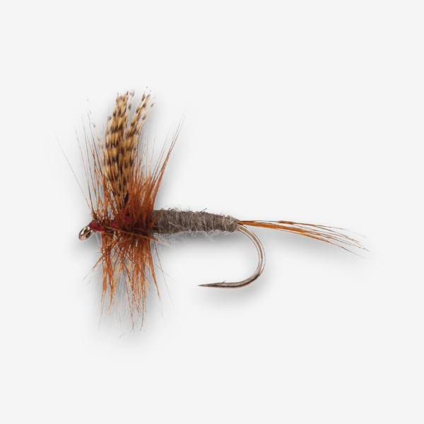 Dark Cahill Dun fly pattern - Light Cahill dry image