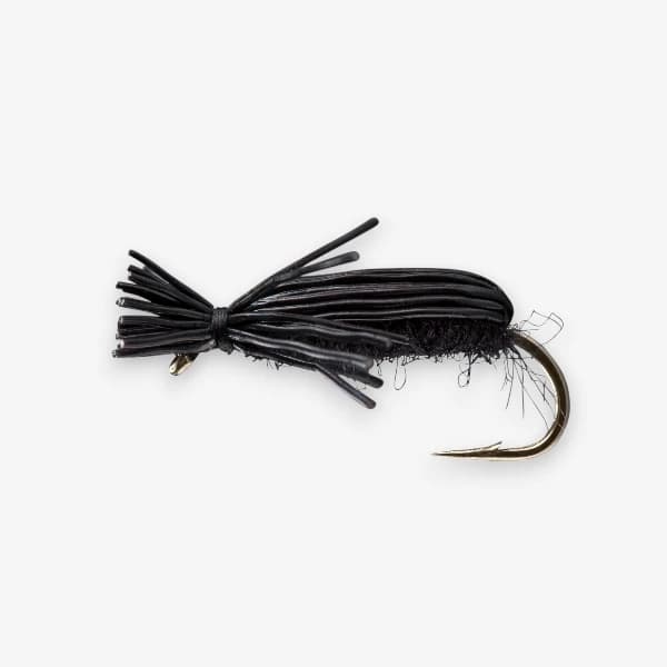Deer Hair Beetle image