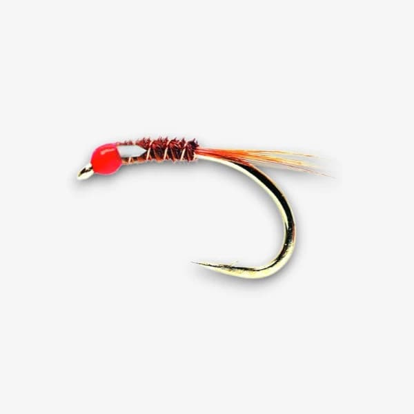 Diawl Bach Deep Water image