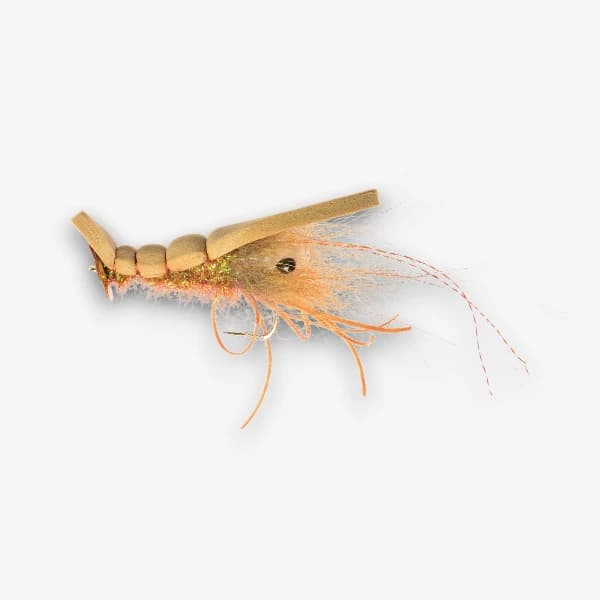 Disco Shrimp fly pattern - Streamers Topwater crustacean image