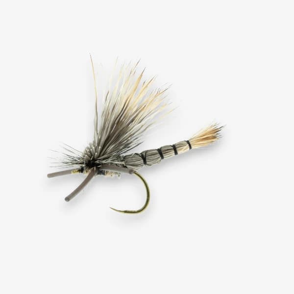 DJL Green Drake image