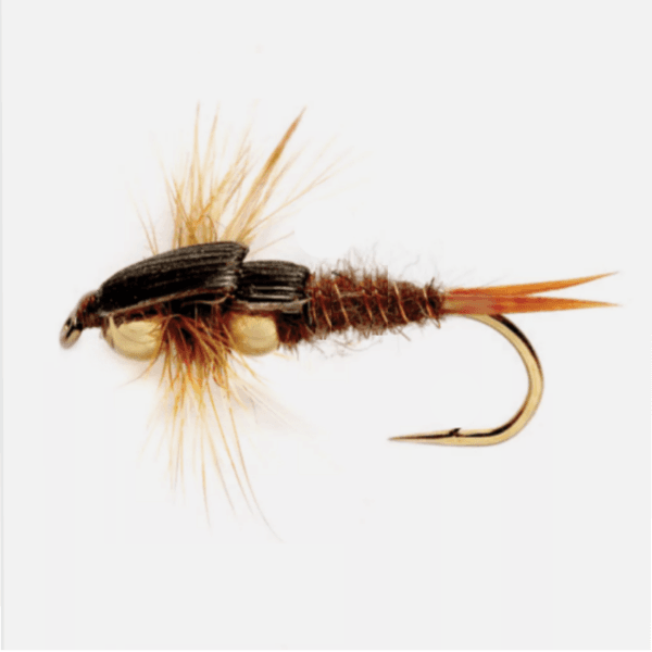 Double Bead Head Stone fly pattern - Stonefly nymph image