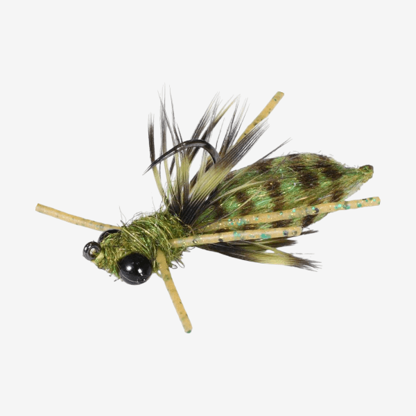 Draggin Nymph image