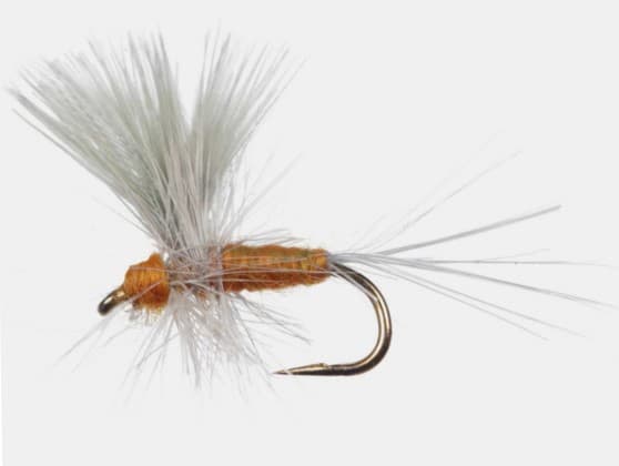 Thorax Dun fly pattern - Mayfly emerger image