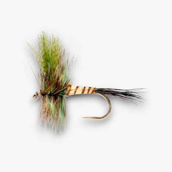 Eastern Green Drake Dun image
