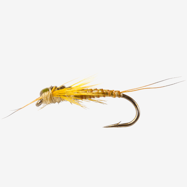 Edwards Yellow Sally image