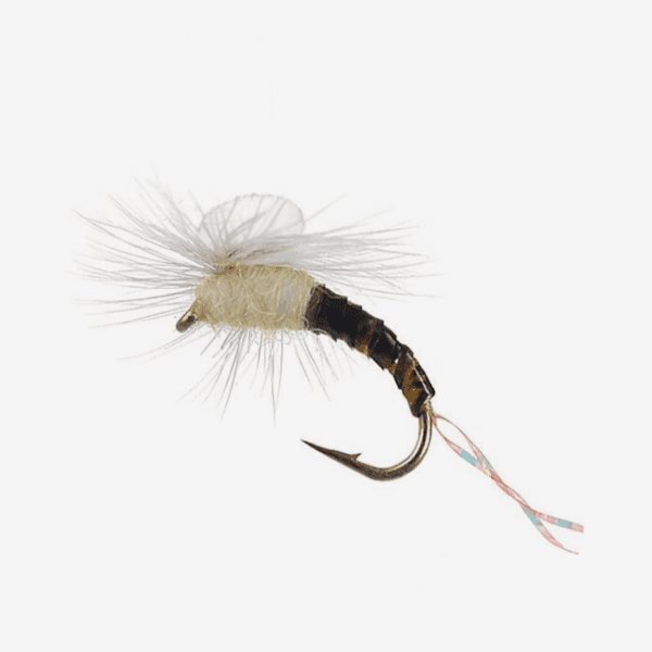 Sprout Mayfly Emerger image