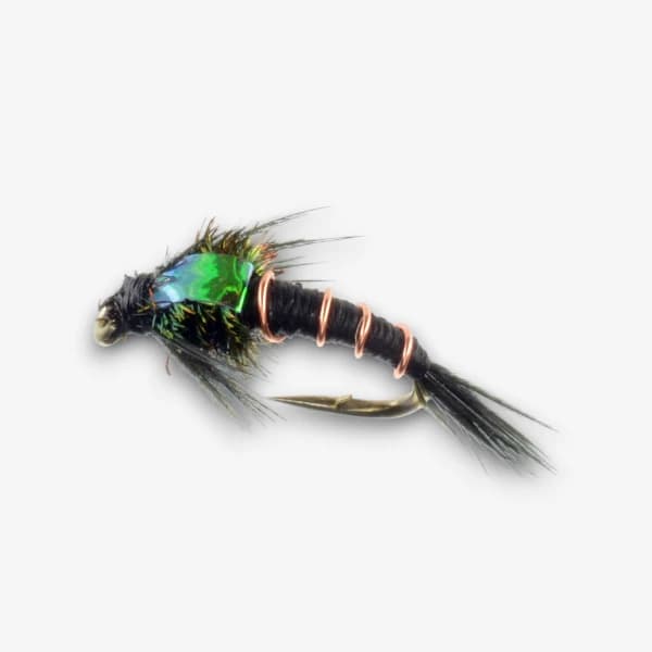Flashback Black Quill Nymph image