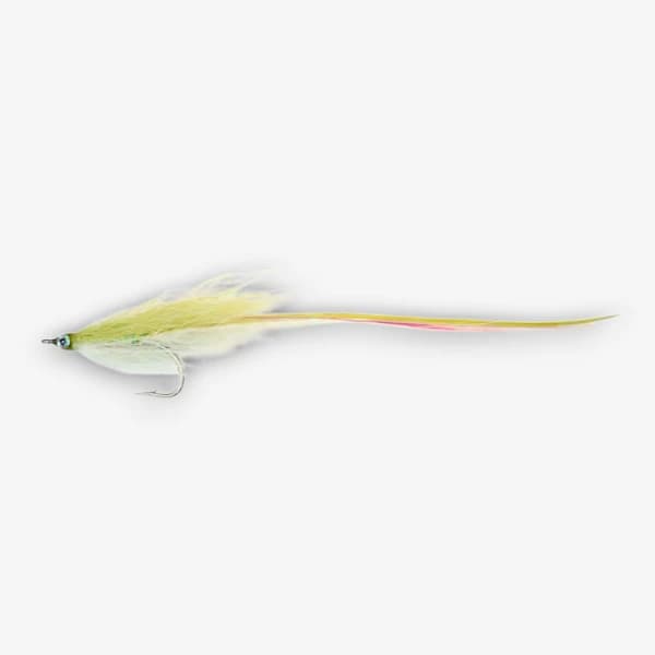 Flatwing Sand Eel image
